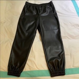 High Waisted Zara Leather Pants
